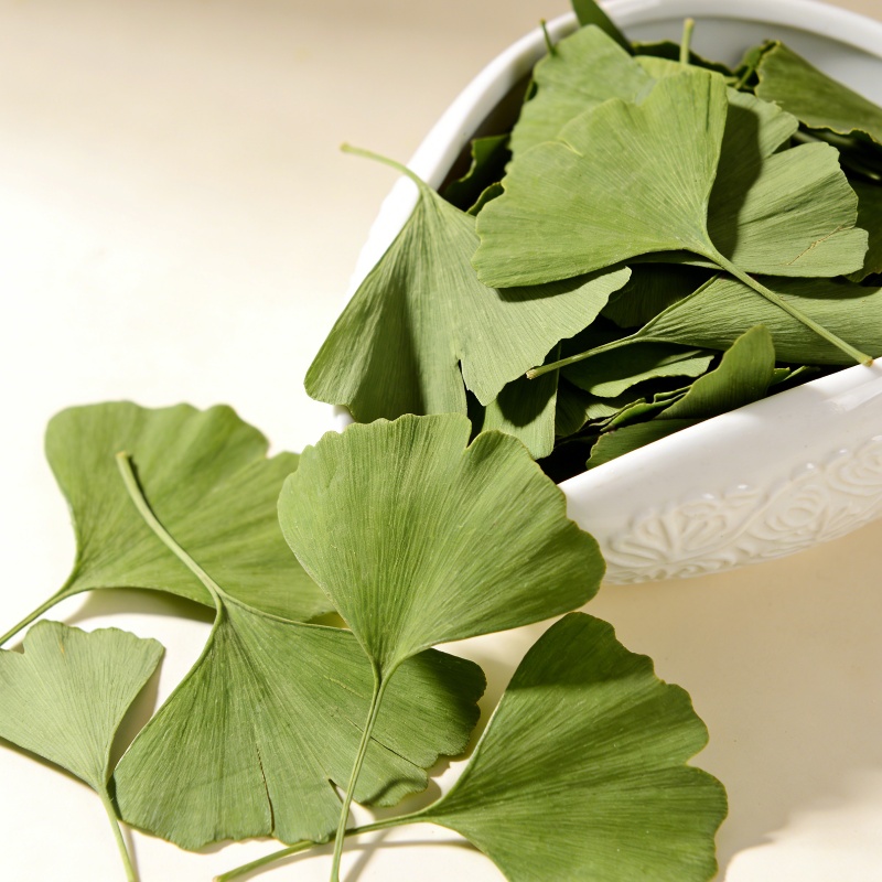 Jewelry Making 3 Year Old - Folhas Secas de Ginkgo Biloba de
