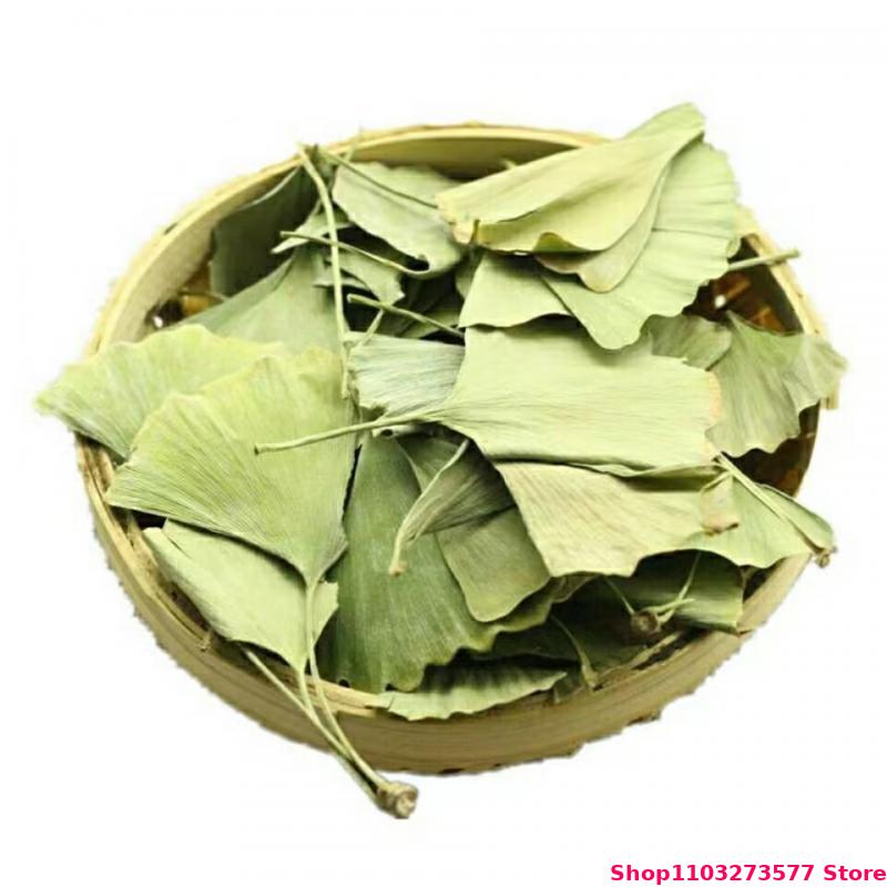 Folhas Secas de Ginkgo Biloba  - Jewelry Making 3 Year Old avaliação e preço